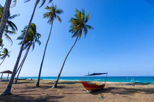 Top 10 astuces pour réussir votre trek en montagne mémorable