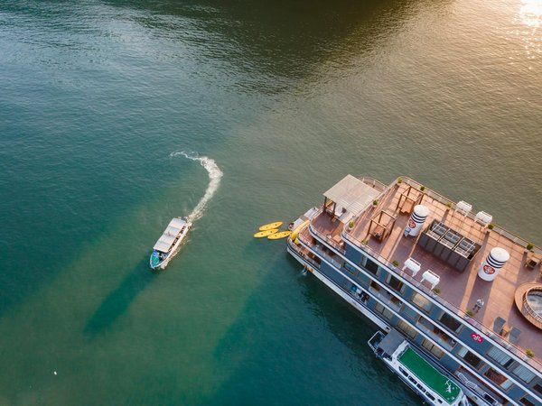 Quelles sont les règles à suivre pour voyager avec des animaux de compagnie en avion ?